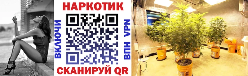 Купить наркотики Лесосибирск МАРИХУАНА  СК  ГАШ 