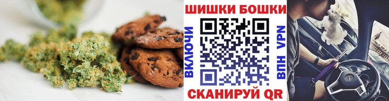 shop наркотические препараты  Лесосибирск  Canna-Cookies марихуана 