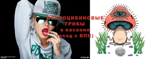 а пвп мука Алзамай