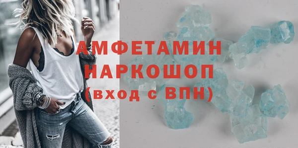 ГАЛЛЮЦИНОГЕННЫЕ ГРИБЫ Новозыбков